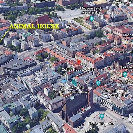 Animal House - StayinWrocław Extérieur photo